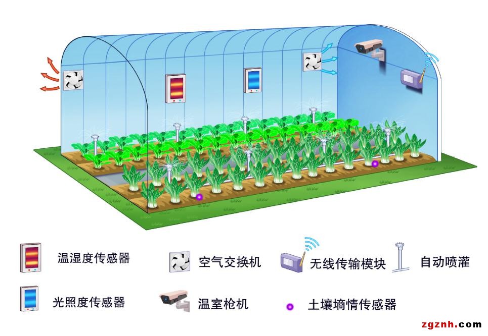 科技讓農業綻放“智慧”之花